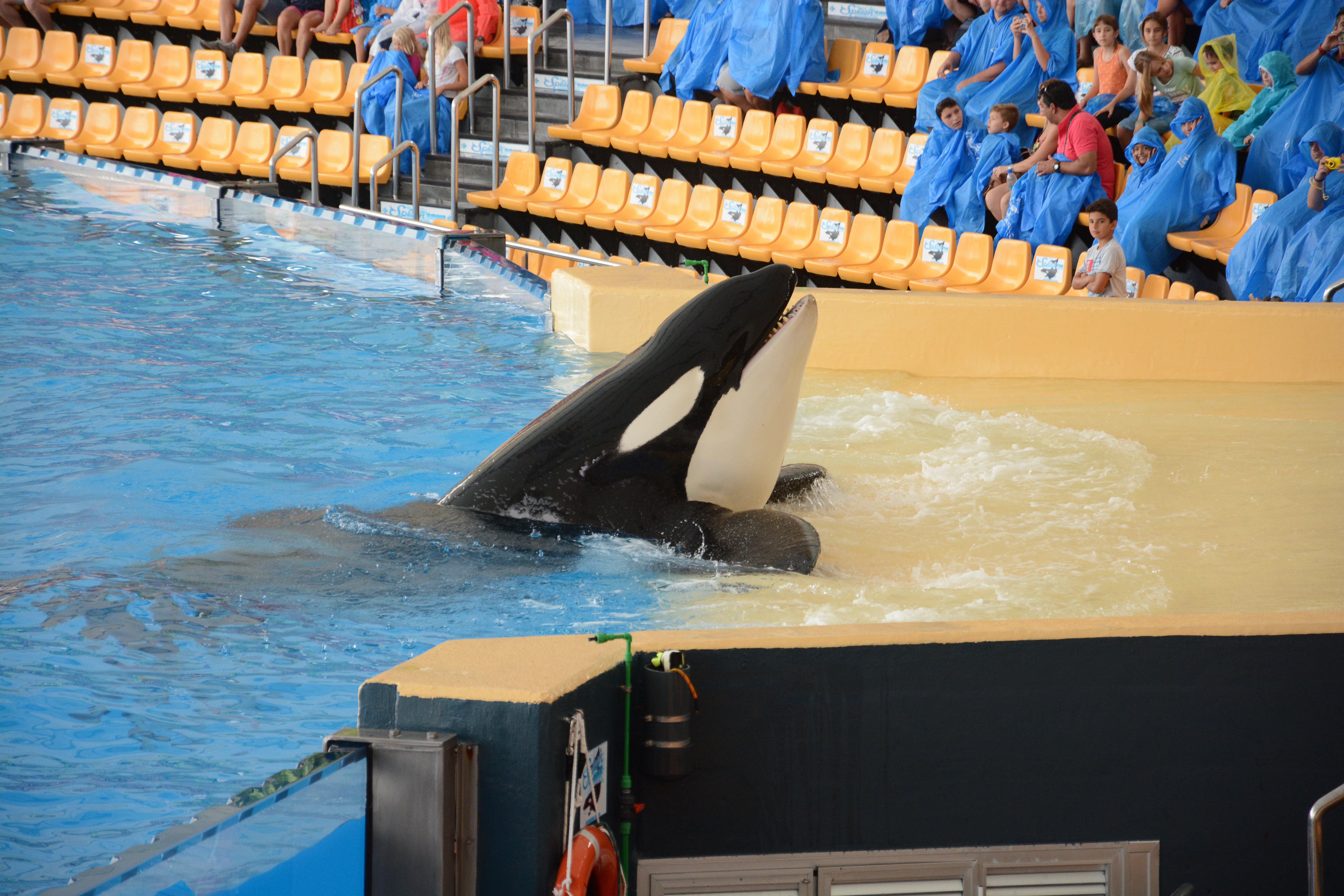 15034-Tenerife264